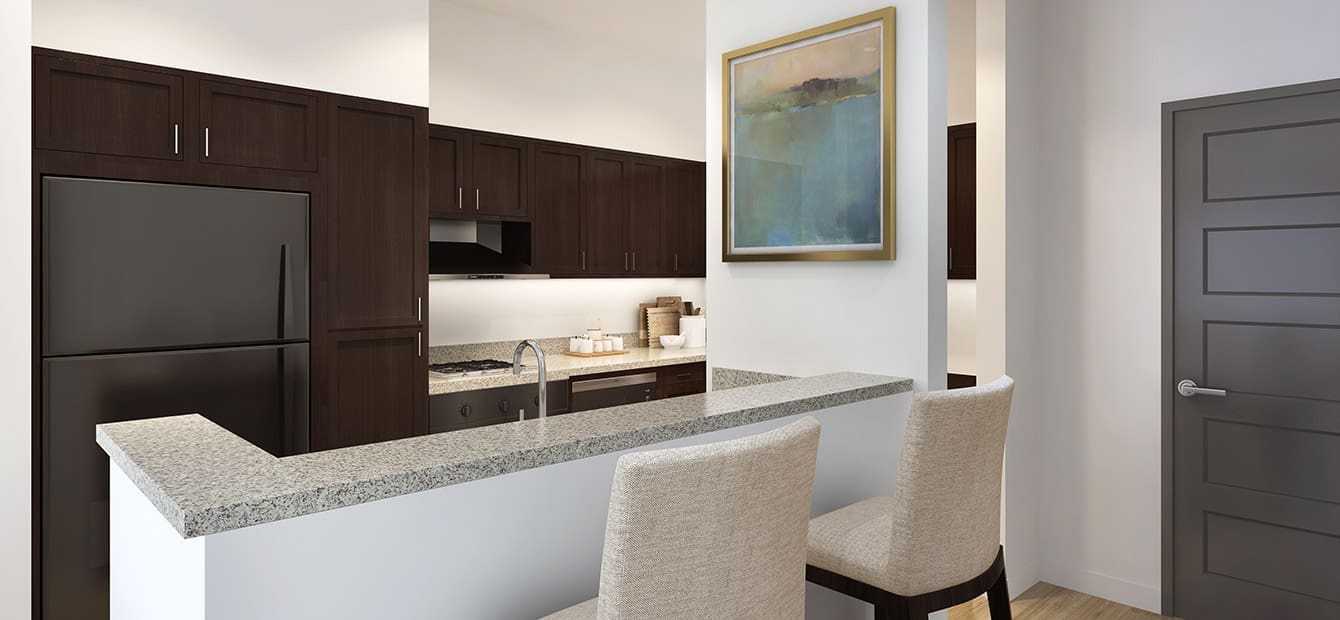 MidCities IL B Unit Kitchen