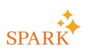 Spark Logo Color